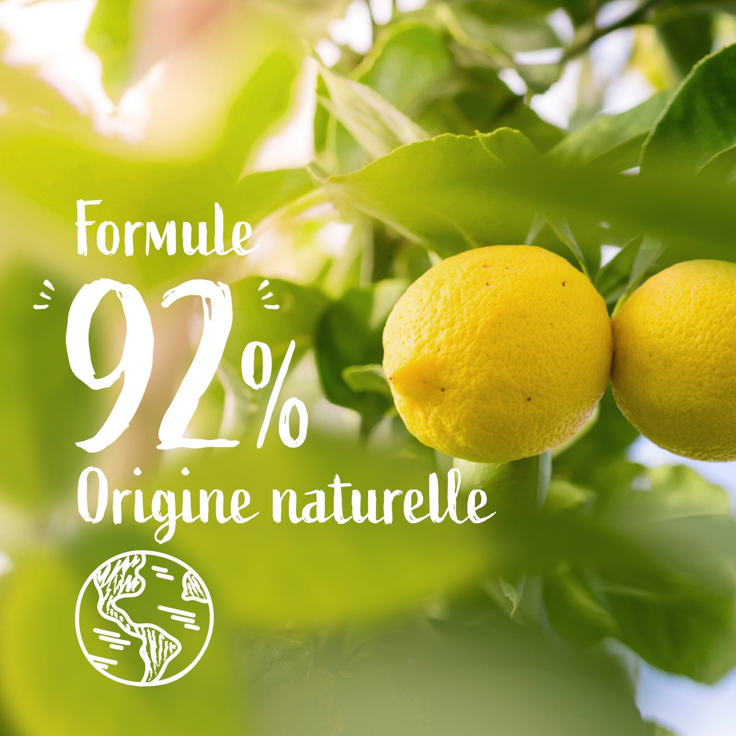 Savon Liquide Mains Action Anti-Odeur à l'Huile Essentielle de Citron LE PETIT MARSEILLAIS