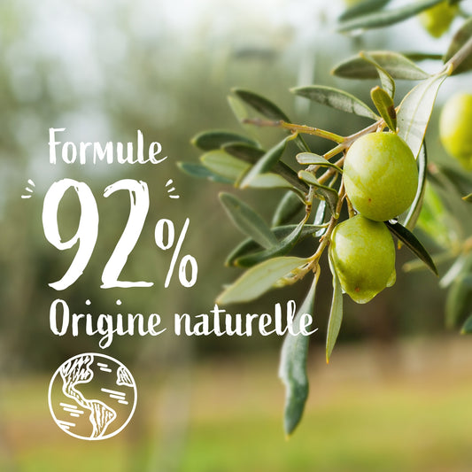 Flüssigseife für die Hände, reine Seife und Olivenöl LE PETIT MARSEILLAIS