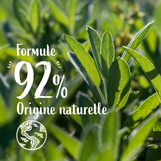 Flüssige Handseife mit antibakterieller Wirkung und ätherischem Salbeiöl LE PETIT MARSEILLAIS