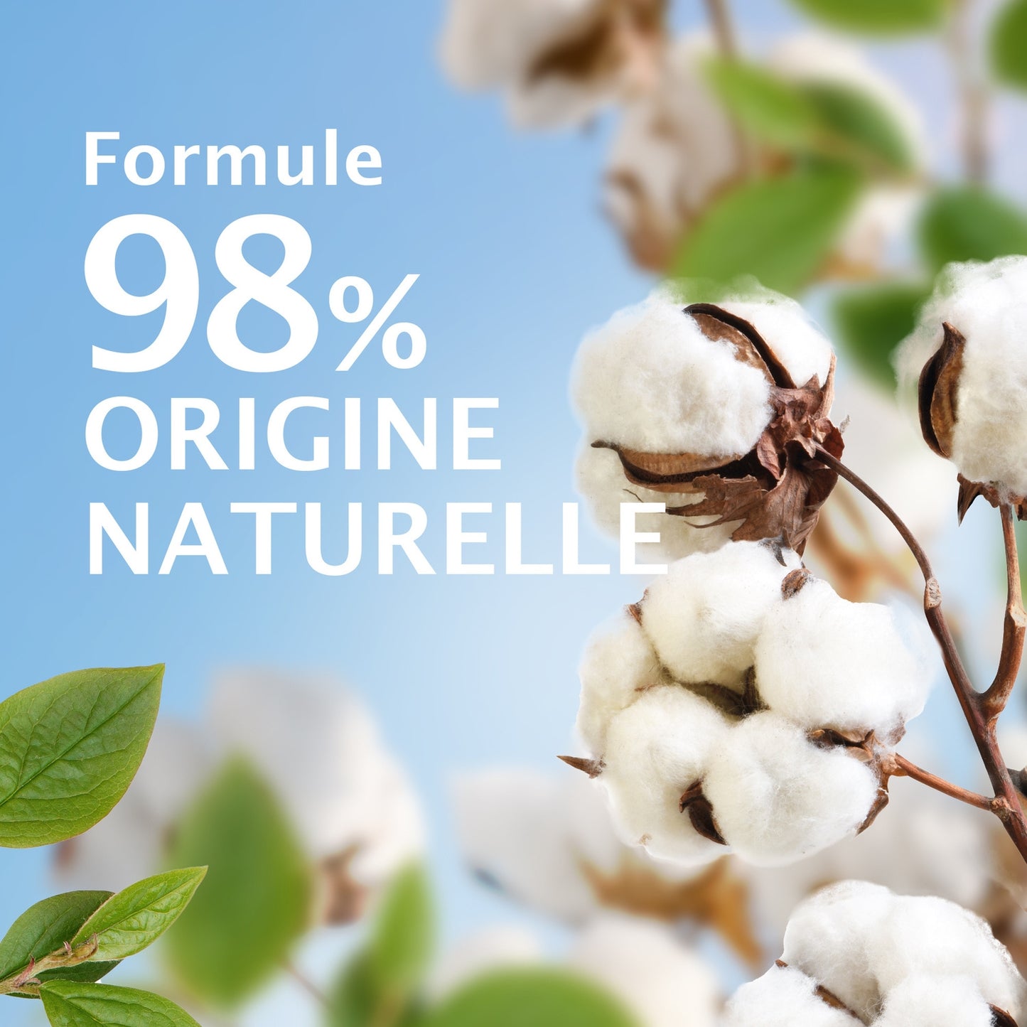 LE PETIT MARSEILLAIS High Tolerance Rich Cotton Flower Shower Cream