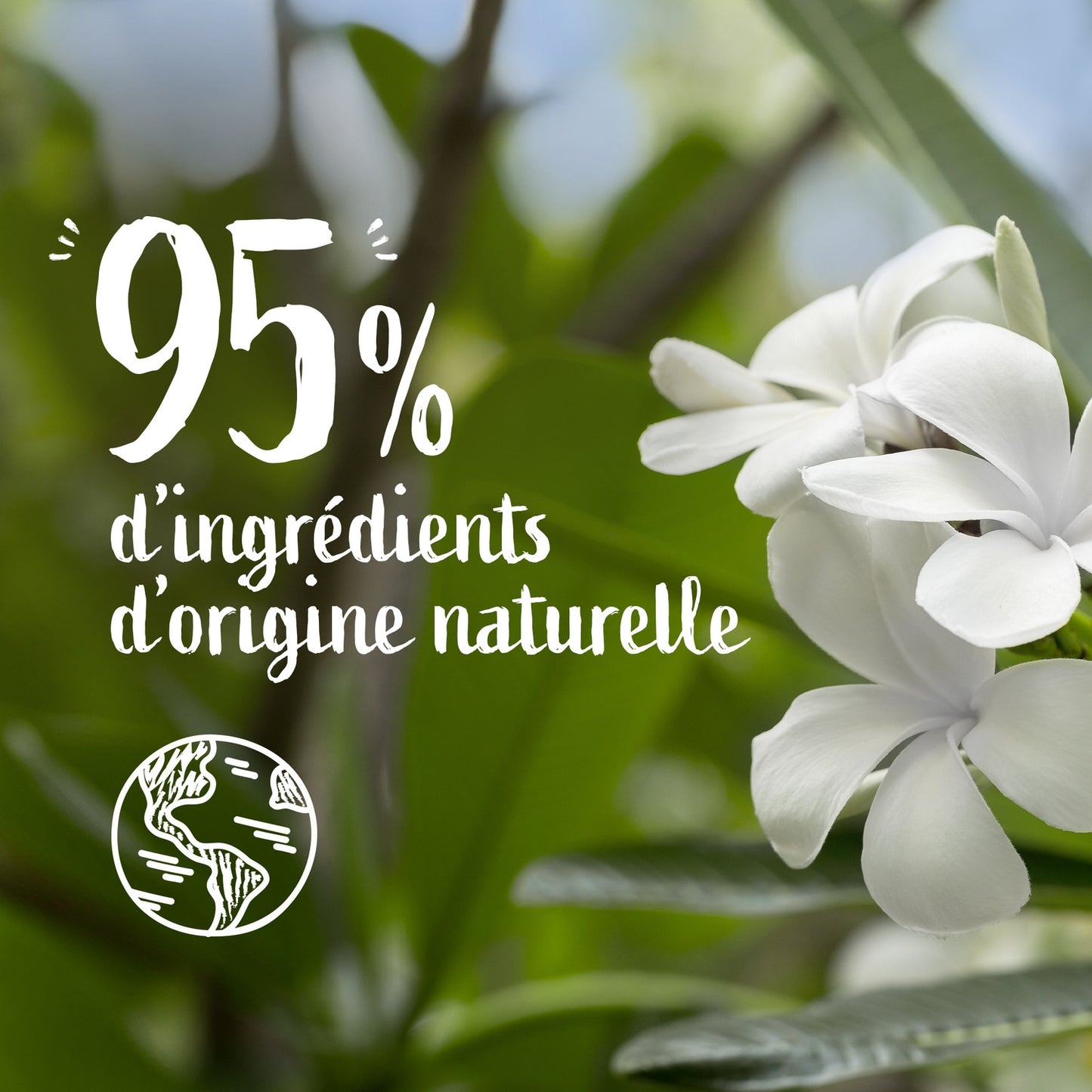 Crème Main Très Sèches Fleur de Tiaré Monoï LE PETIT MARSEILLAIS