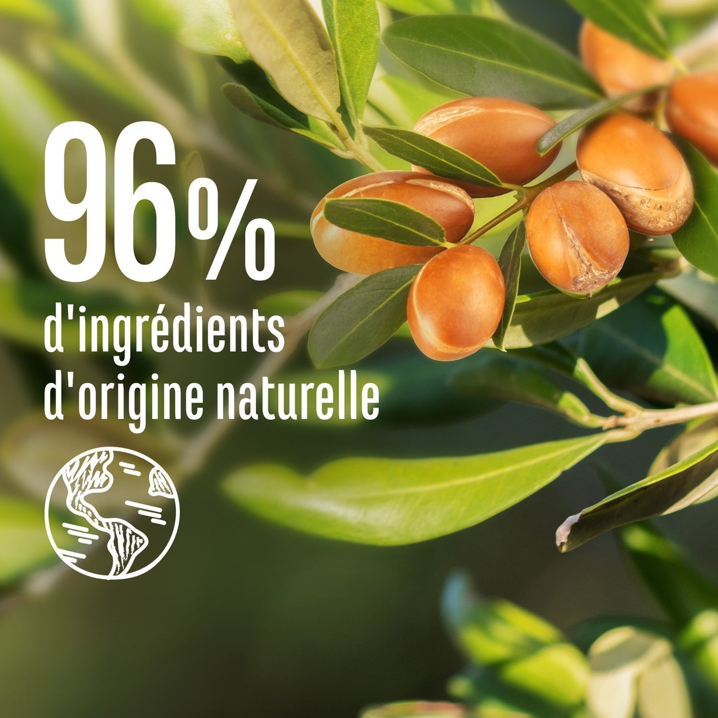 Masque Capillaire Nutrition Intense Huile d'Argan 4 en 1 LE PETIT MARSEILLAIS