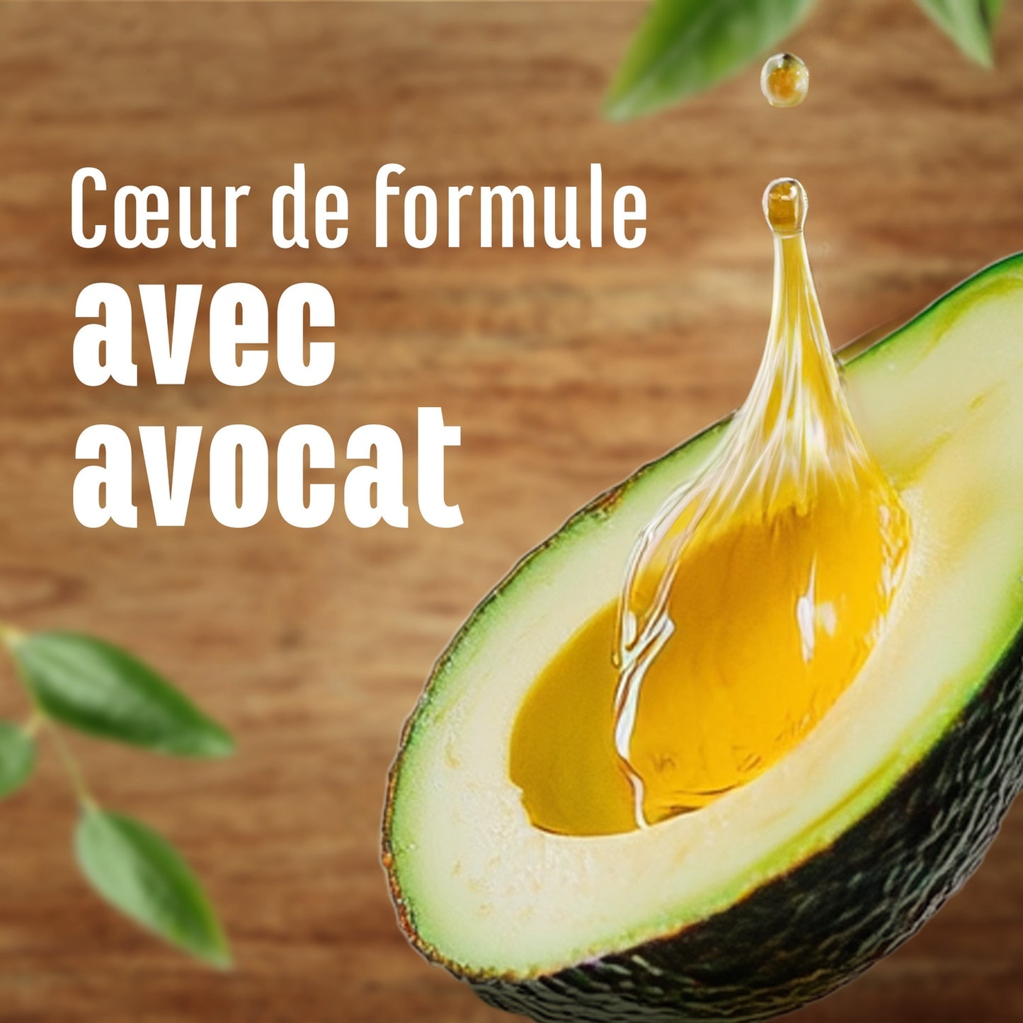Masque Capillaire Expert Réparation Huile de Jojoba LE PETIT MARSEILLAIS