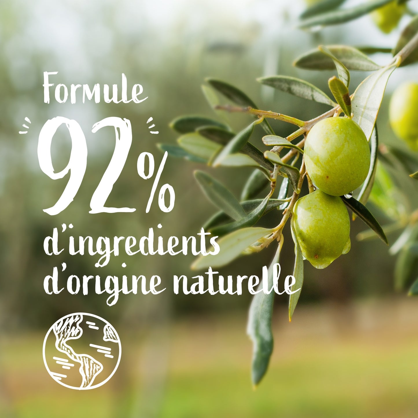 Savon Liquide Recharge Huile d'Olive LE PETIT MARSEILLAIS