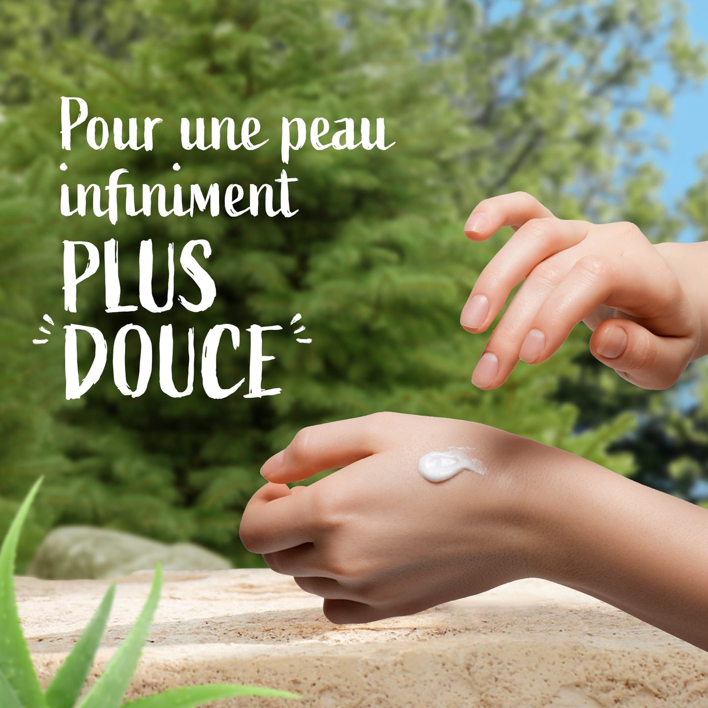 Beruhigende Milch 48h Feuchtigkeit Bio-Aloe Vera LE PETIT MARSEILLAIS