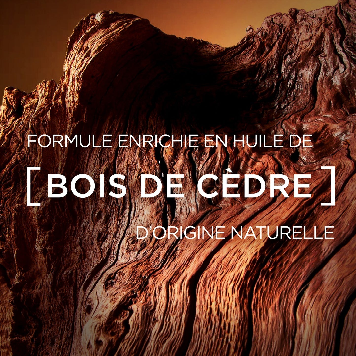 Déodorant Spray Homme Huile Essentielle de Bois de Cèdre Barber Club MEN EXPERT