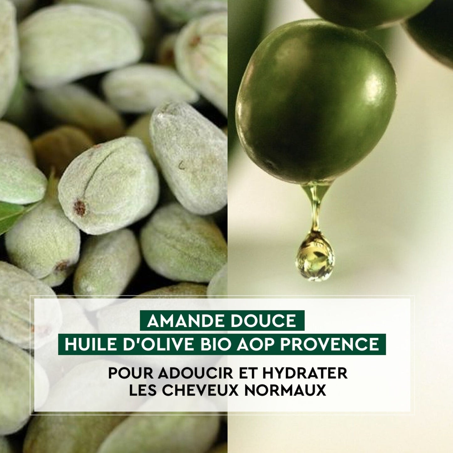 Organic Almond & Olive Oil Shampoo for Normal Hair Softness LA PROVENÇALE BIO