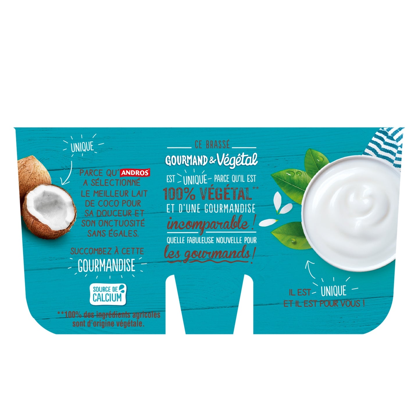 Dessert Végétal Brassé au Lait de Coco Nature ANDROS
