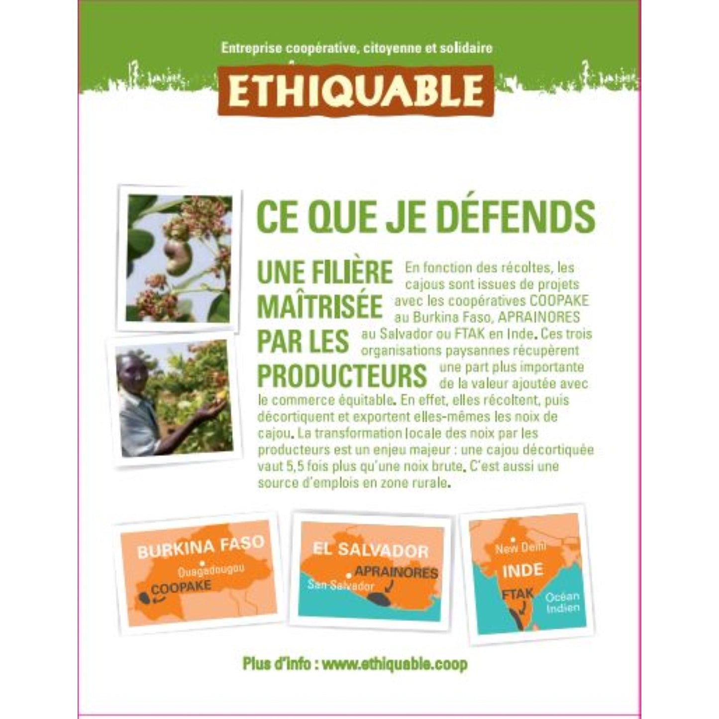 Noix de Cajou Grillées A Sec Sans Sel Grand Format Bio ETHIQUABLE