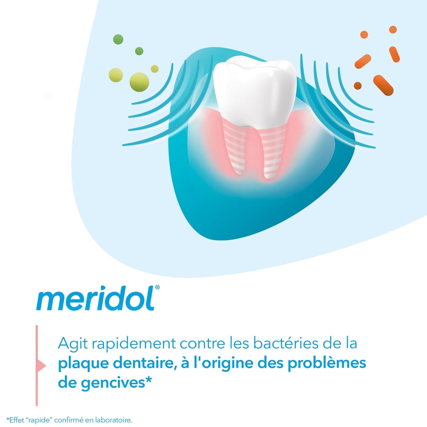 Dentifrice Protection Gencives Combat l'Inflammation MERIDOL
