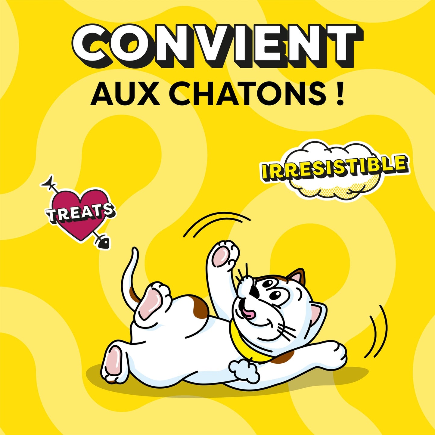 Friandises pour Chat Adulte Saumon CATISFACTIONS