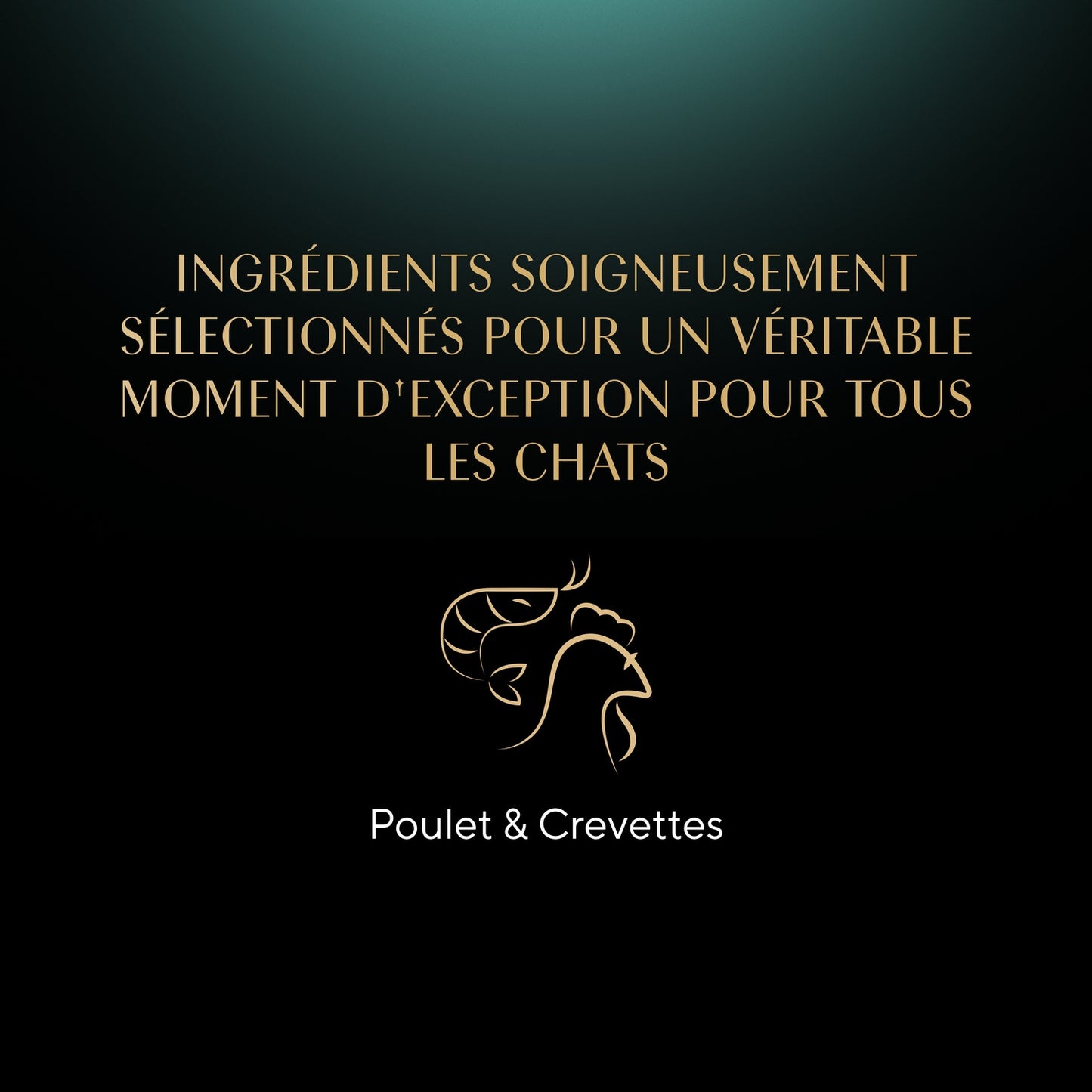 Pâtée pour Chat Adulte Filets Poulet Crevettes Poisson SHEBA