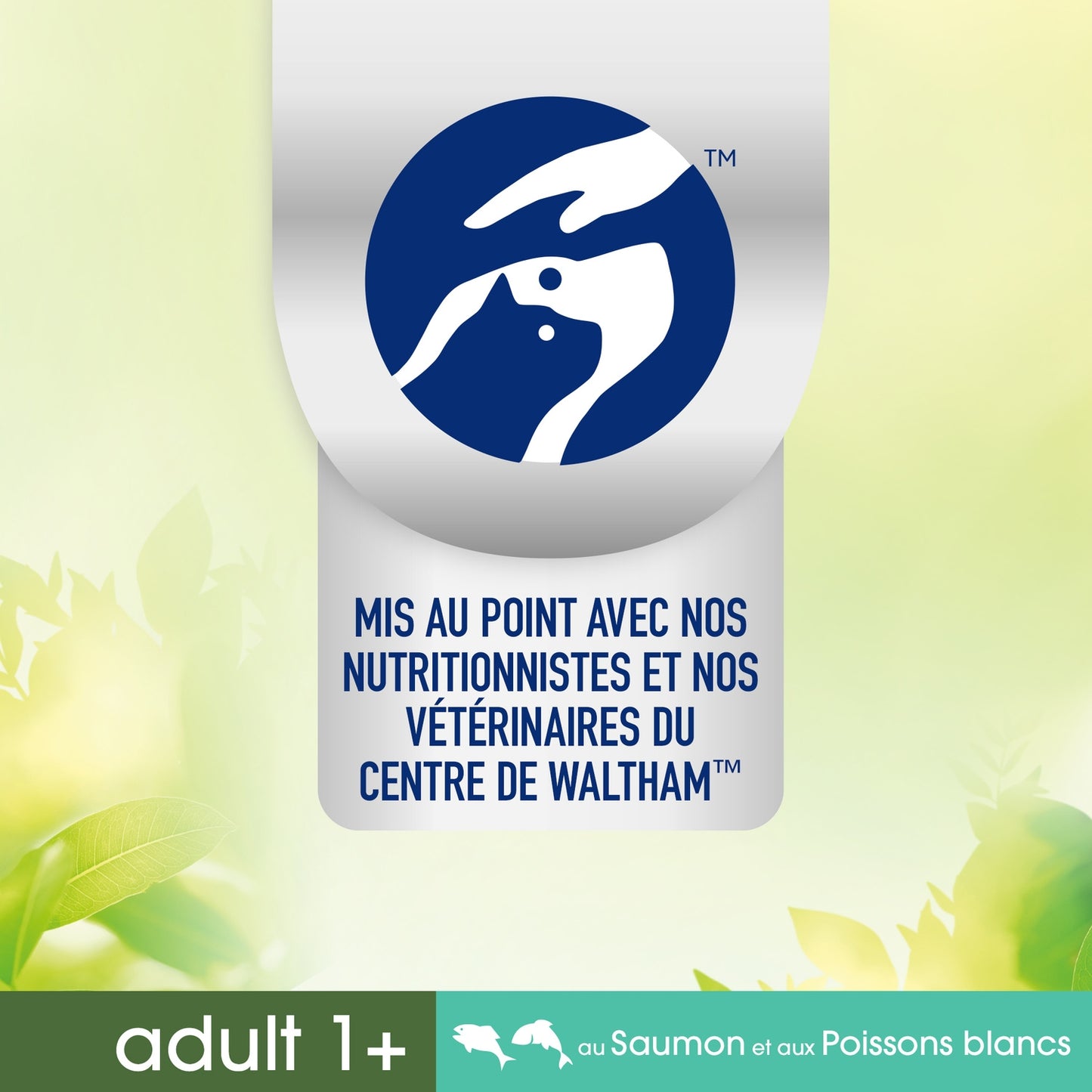 Perfect Fit Sterilized Adult Katzenfutter mit Lachs