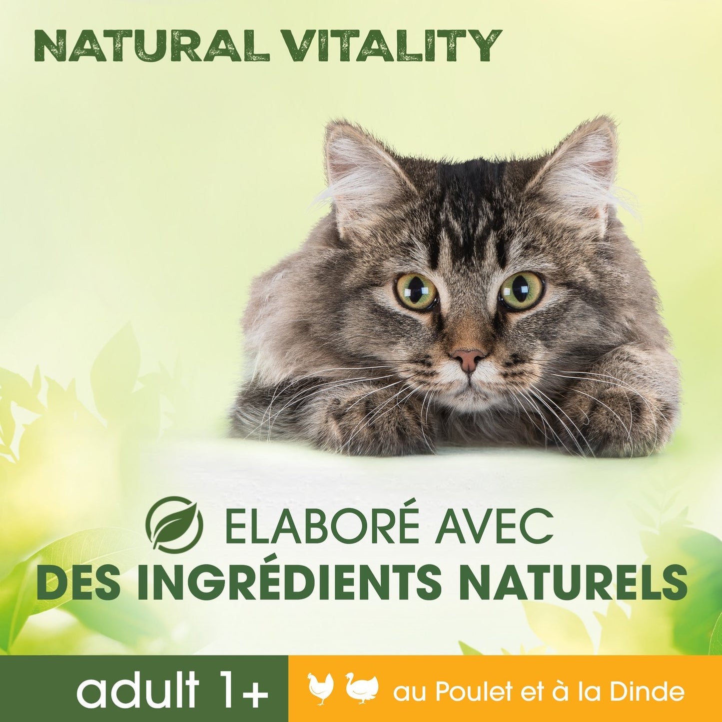Croquettes pour Chat Adulte Stérilisé Poulet Dinde Natural Vitality PERFECT FIT