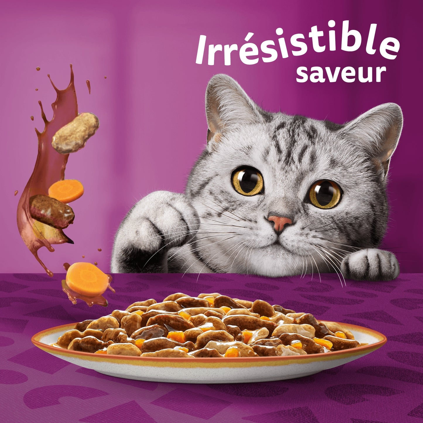 Pâtée pour Chat Adulte en Sauce Agneau Poulet Carottes Poulet Dinde Canard Boeuf Volaille Tasty Mix Recettes de Campagne WHISKAS