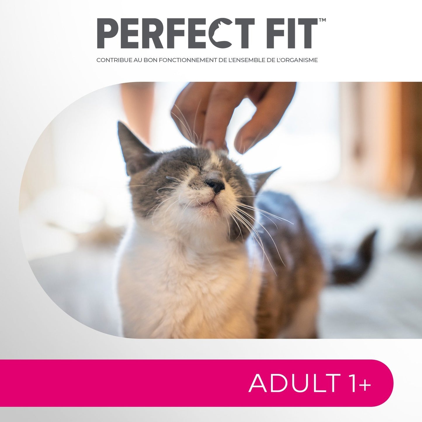 Croquettes pour Chat Adulte Stérilisé Saumon PERFECT FIT