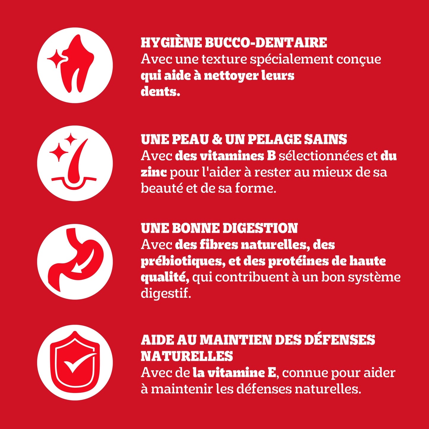 PEDIGREE Large Adult Hundefutter +25kg Rind Gemüse