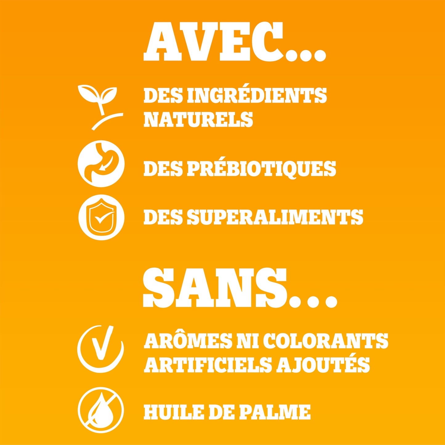 Croquettes pour Chien Adulte Grand +25kg Boeuf Légumes PEDIGREE