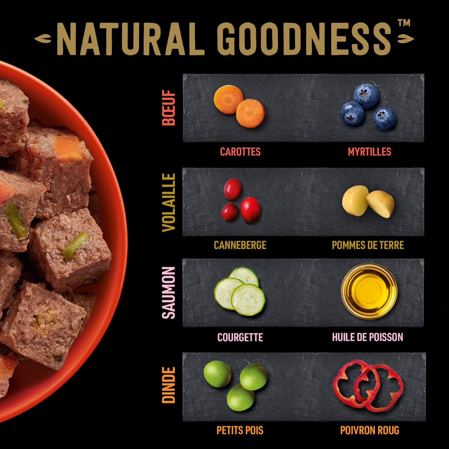 Pâtée pour Chien Adulte Terrine Sans Céréales Boeuf Volaille Saumon Dinde Natural Goodness CESAR