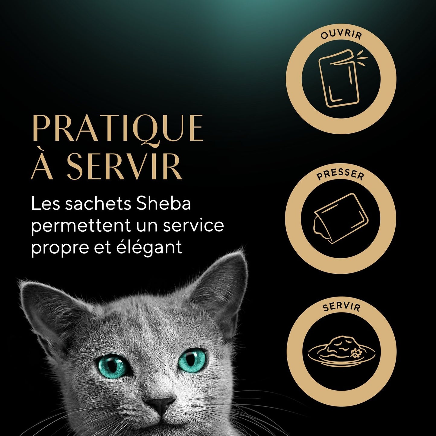 Pâtée pour Chat Adulte en Sauce Thon Cabillaud Délices du Jour SHEBA