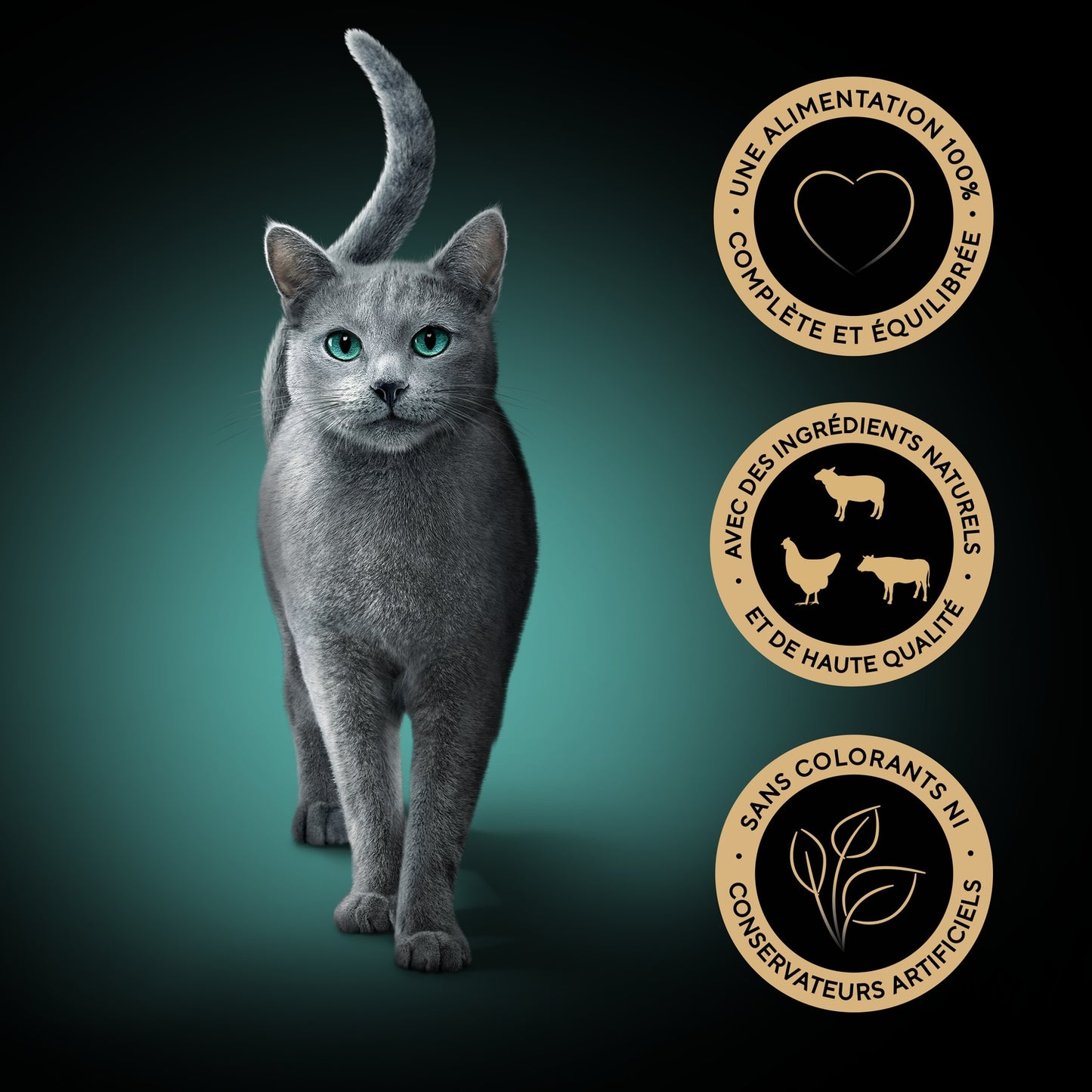 Adult Katzenfutter in Sauce Huhn Rind Lamm Köstlichkeiten des Tages SHEBA