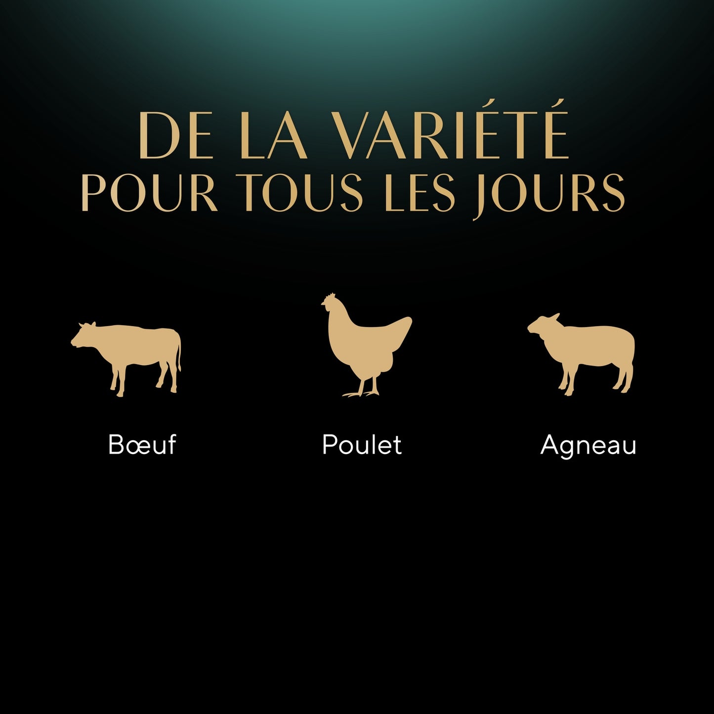 Pâtée pour Chat Adulte en Sauce Poulet Boeuf Agneau Délices du Jour SHEBA