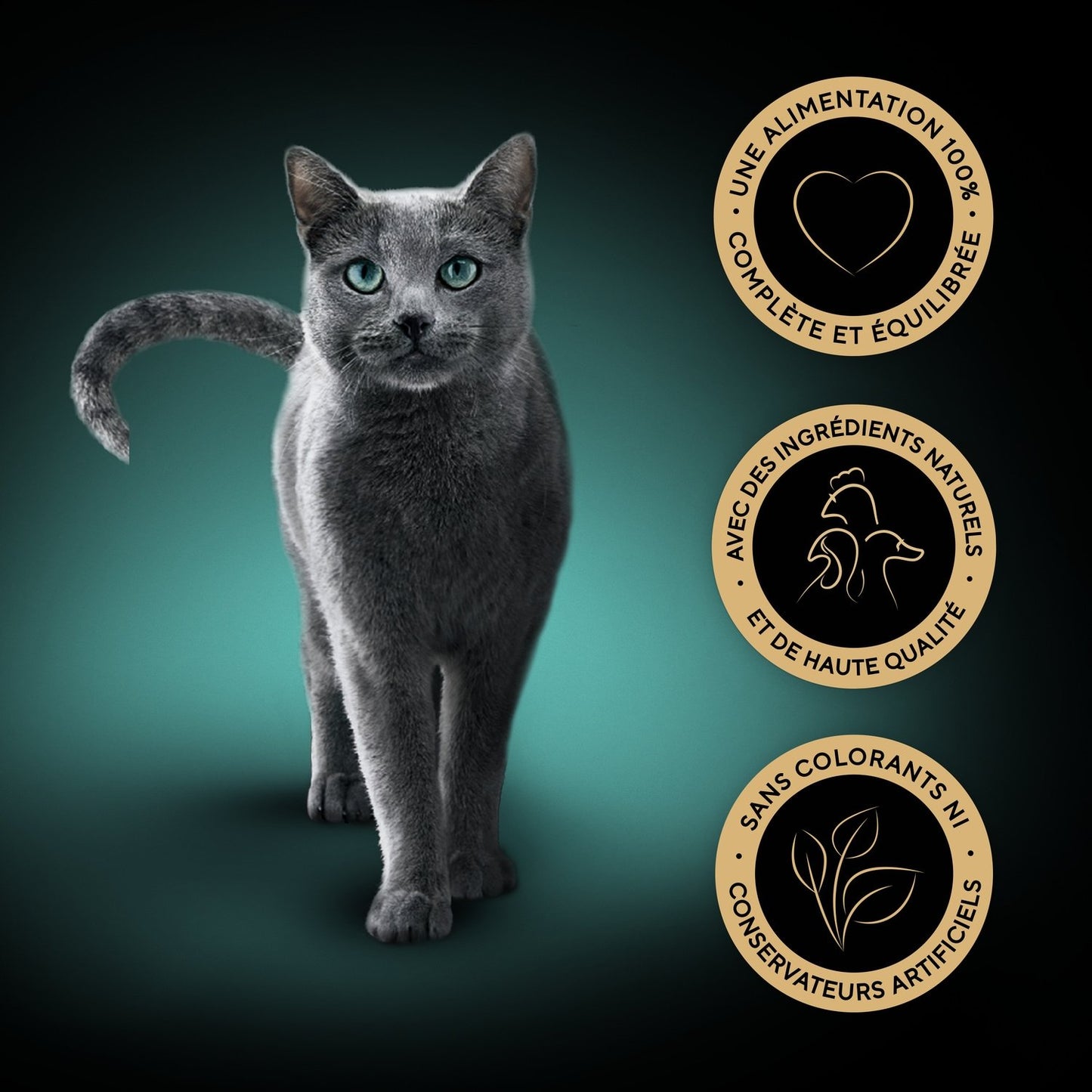 Adult Cat Food Mini Fillets in Sauce Poultry Duck Chicken Turkey Beef SHEBA