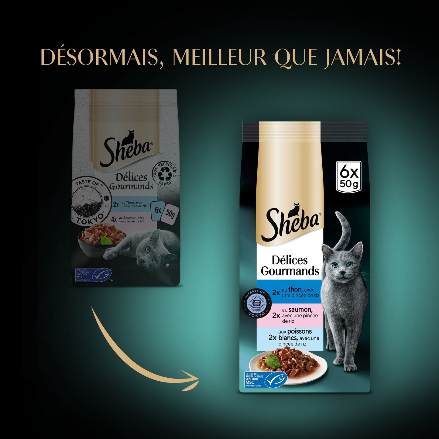 Pâtée pour Chat Adulte en Sauce Thon Saumon Délices Gourmands SHEBA