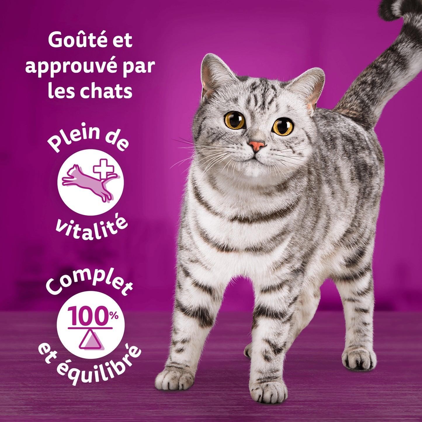 Adult Cat Food in Jelly Cod Chicken Salmon Turkey Tuna Trout Duo Land Sea WHISKAS
