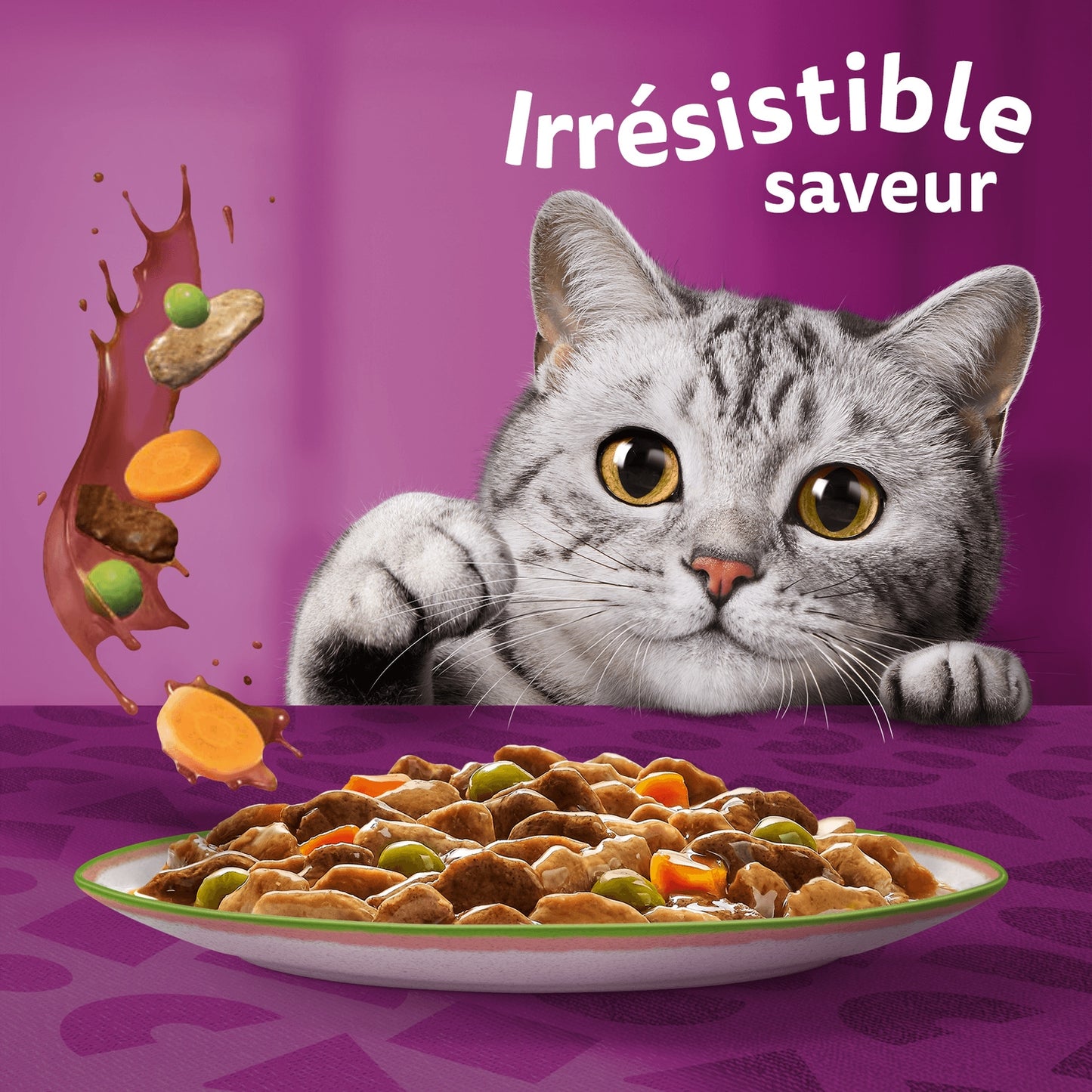 Pate for Adult Cats in Sauce Beef Poultry Salmon Chicken Turkey Cod Tasty Mix Chef's Selection WHISKAS