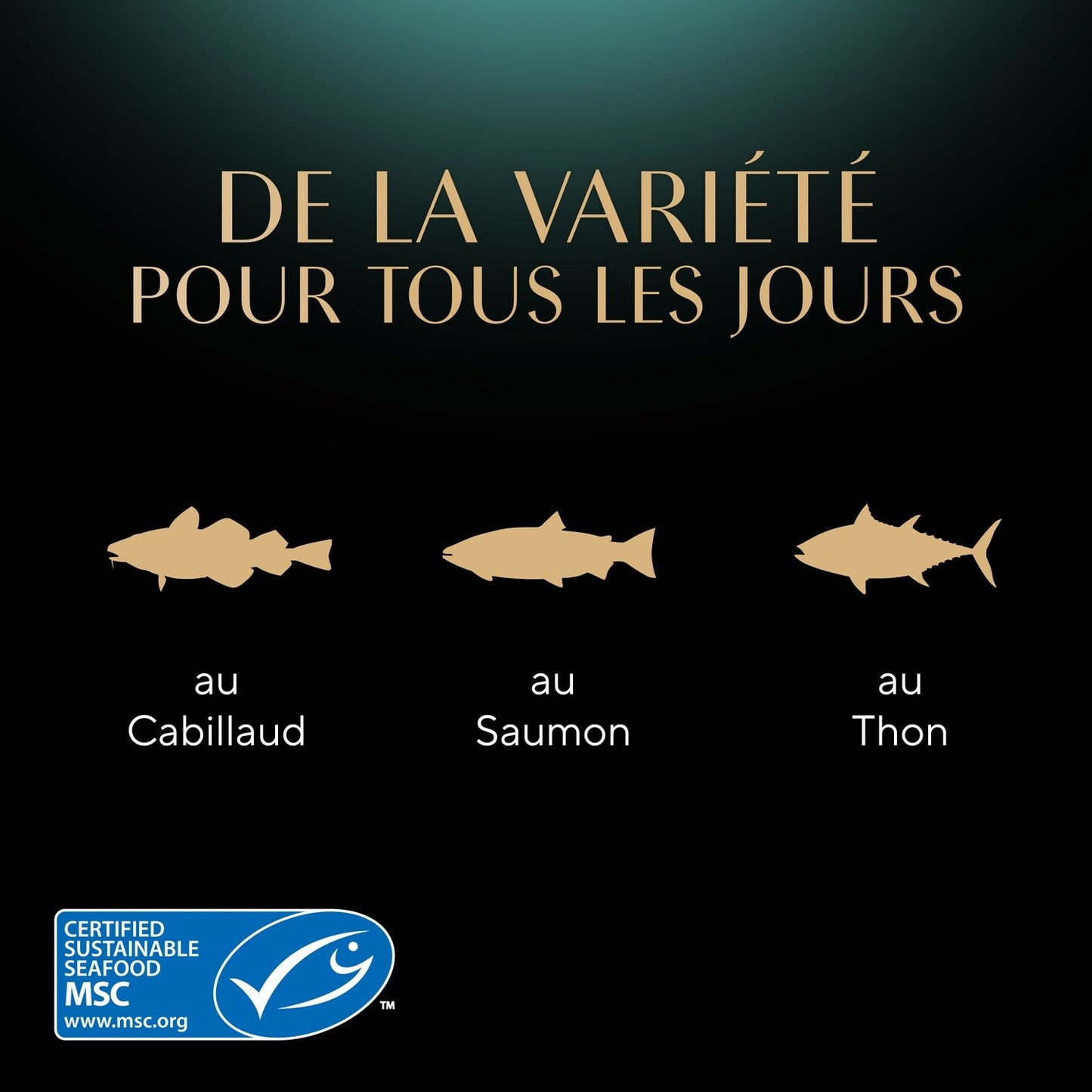 Adult Katzenfutter Delight of the Day mit MSC Kabeljau, MSC Lachs und MSC Thunfischsauce Sheba