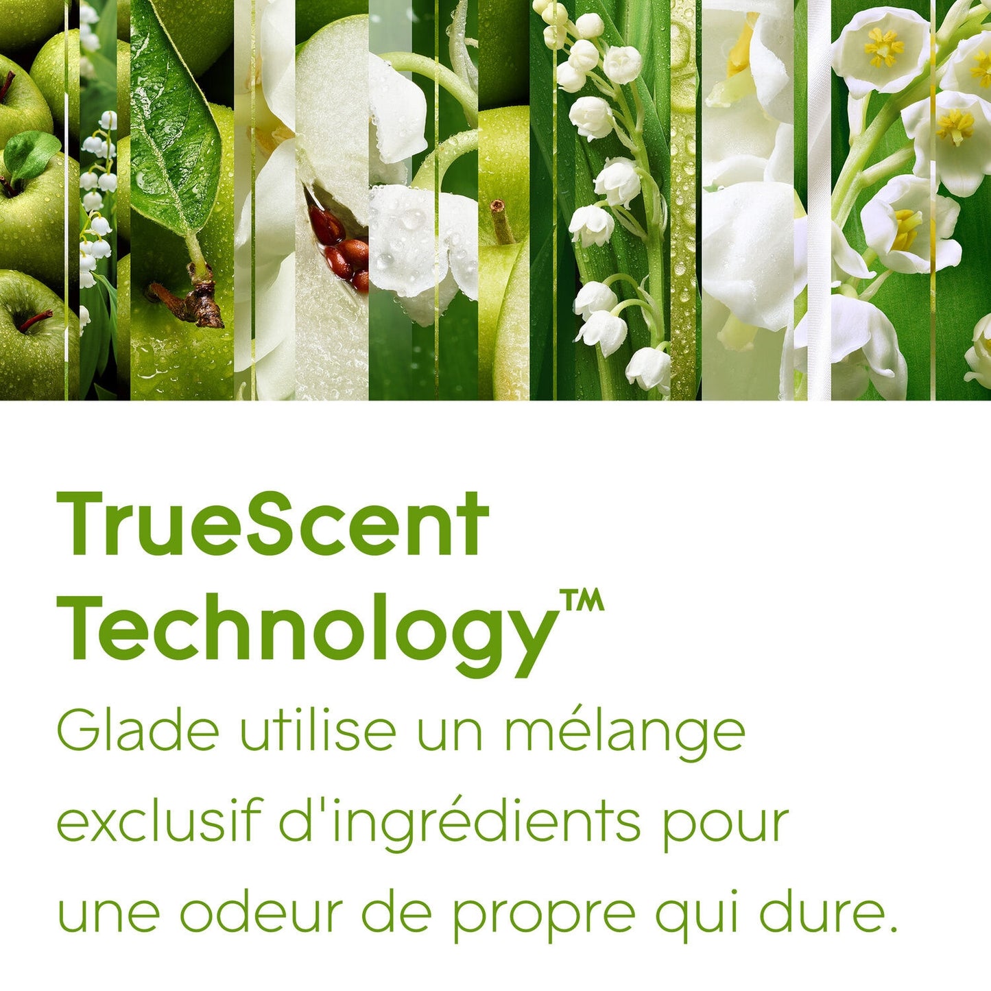 GLADE Lily of the Valley Air Freshener