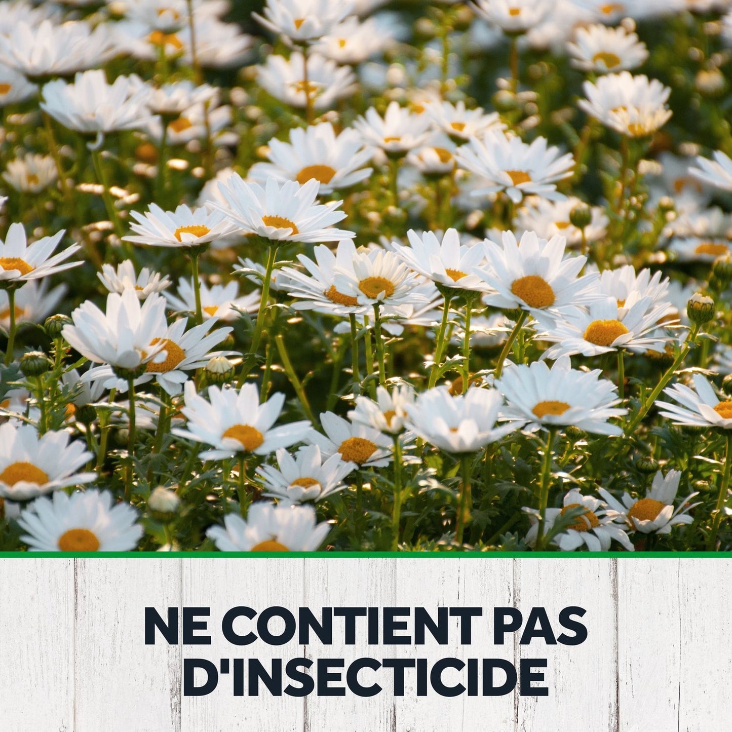 Anti-Mites Sachets Parfumés Fleur d'Oranger PYREL