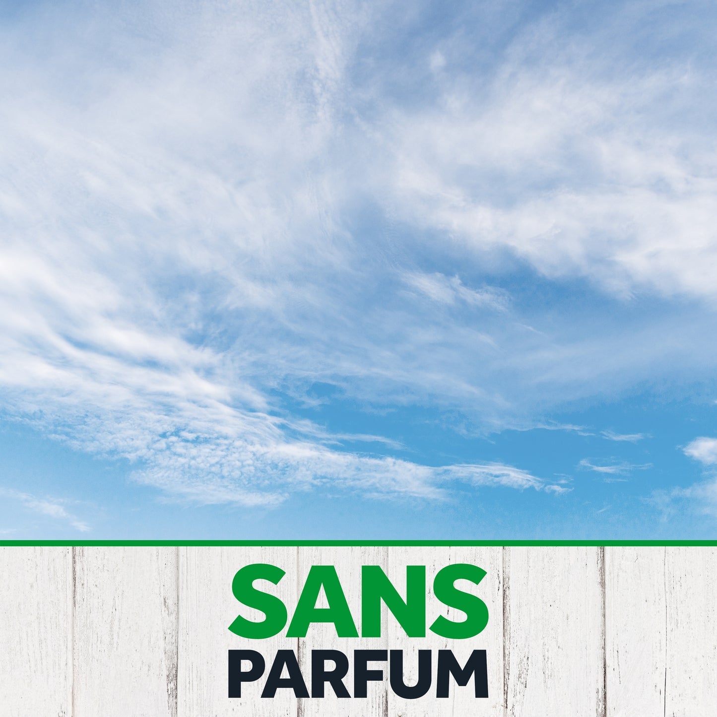 Anti-Mites Piège Sans Insecticides Ni Parfum PYREL