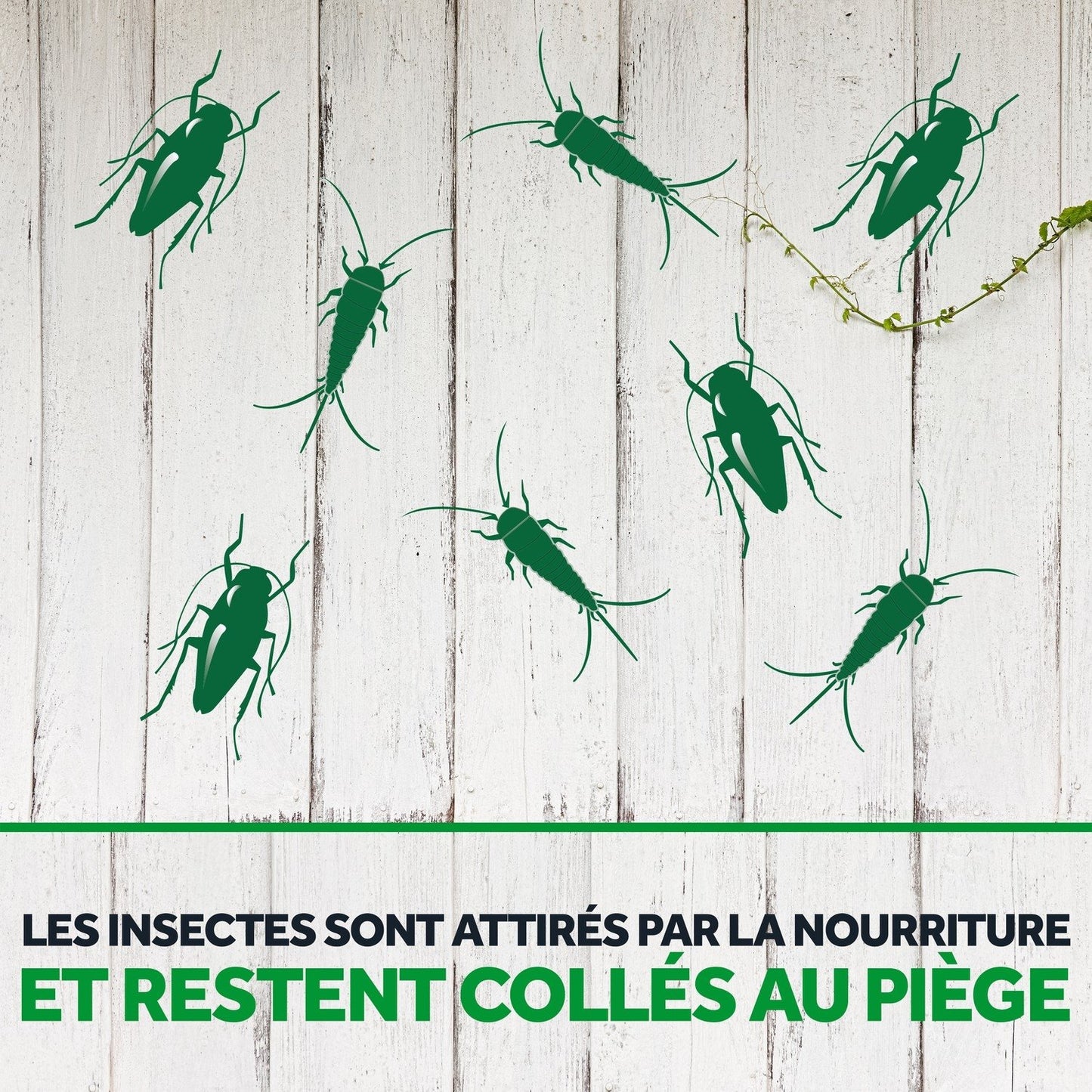 Anti-Cafards Piège et Poissons d'Argent Sans Insecticide Ni Parfum PYREL
