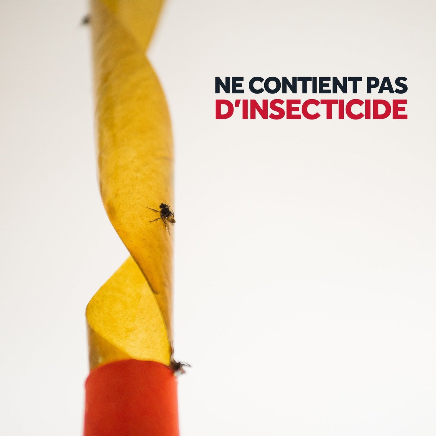 Attrape-Mouches Sans Insectides RAID