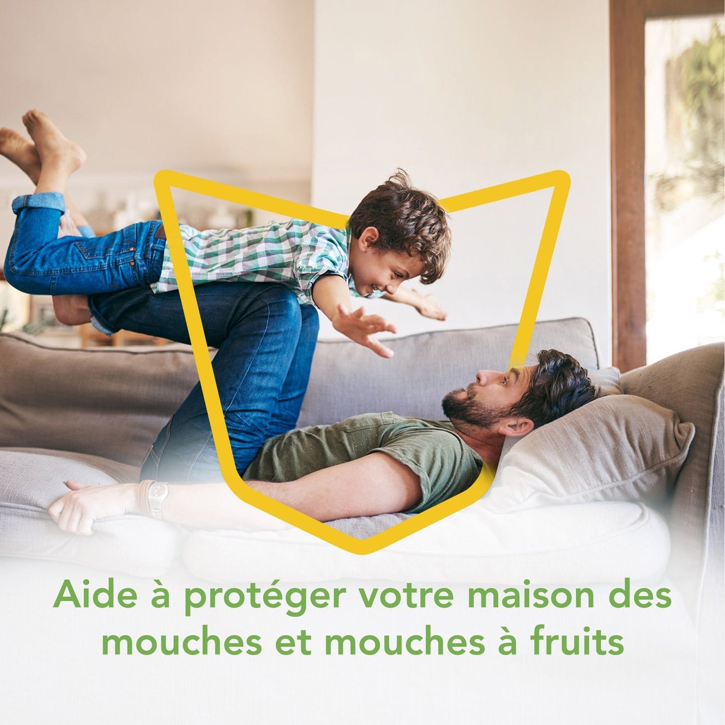 Anti-Mouches Sticker Piège Fenêtre Sans Parfum RAID