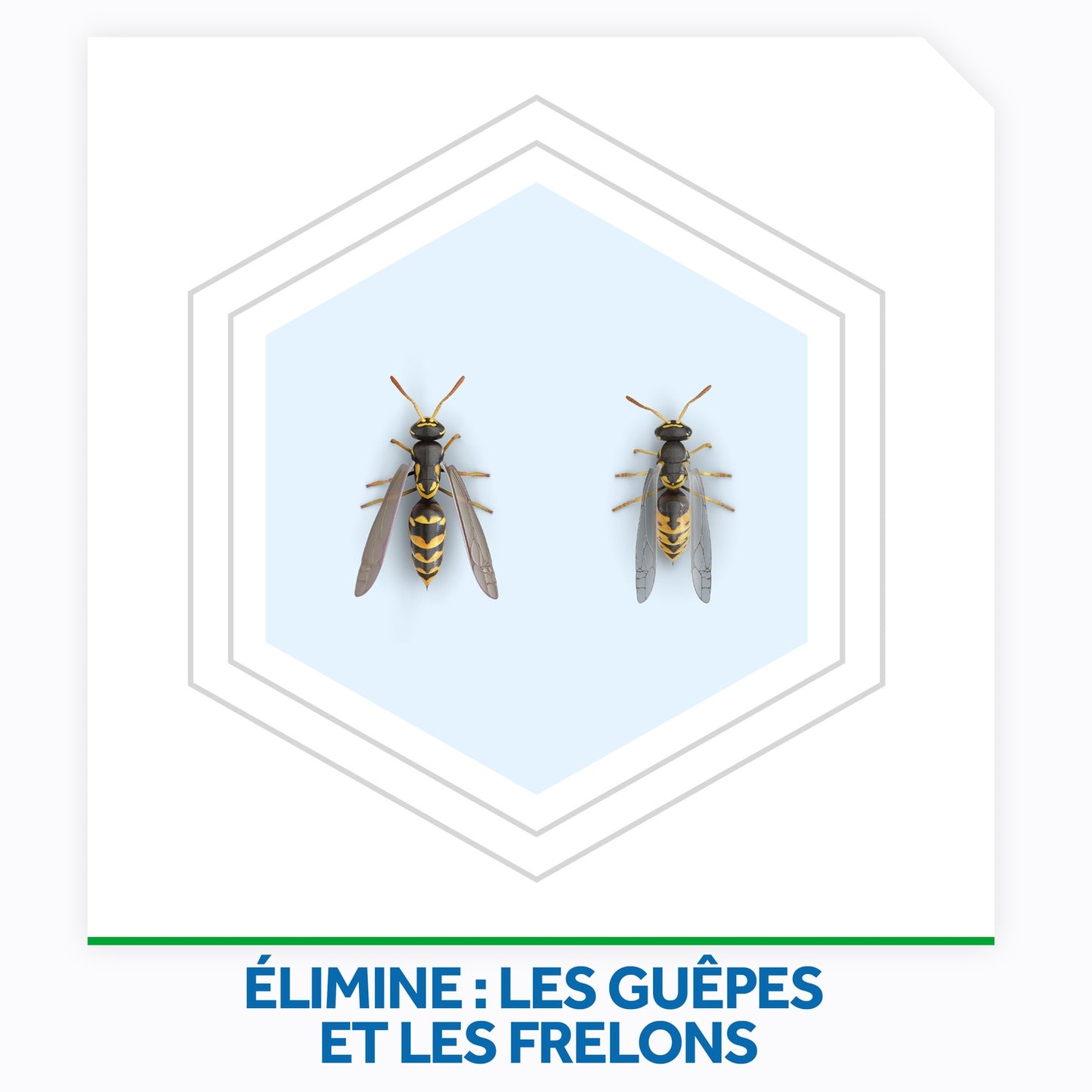 Anti-Guêpes Aérosol Action Foudroyante et Frelons Max RAID
