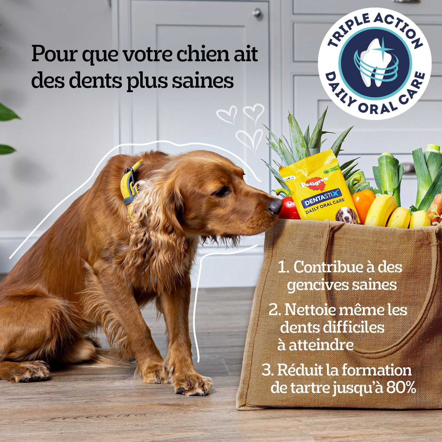 Os à Mâcher pour Chien Moyen +10kg Hygiène Bucco Dentaire Dentastix PEDIGREE