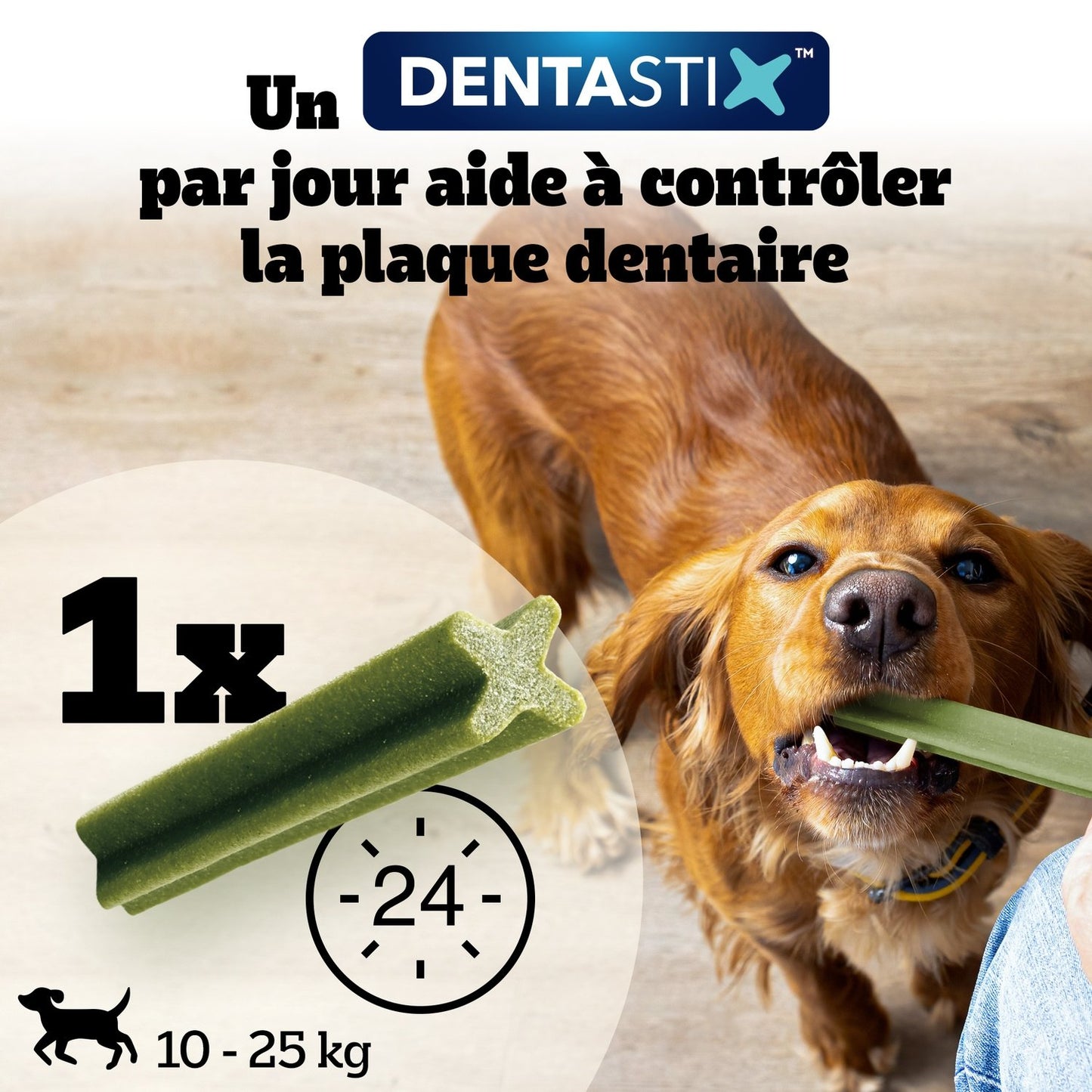 Bâtonnet à Mâcher pour Chien Medium +10kg Hygiène Bucco Dentaire Fraîcheur Dentastix Fresh PEDIGREE