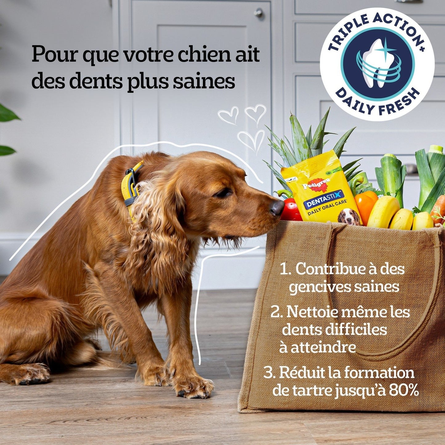 Bâtonnet à Mâcher pour Chien Medium +10kg Hygiène Bucco Dentaire Fraîcheur Dentastix Fresh PEDIGREE