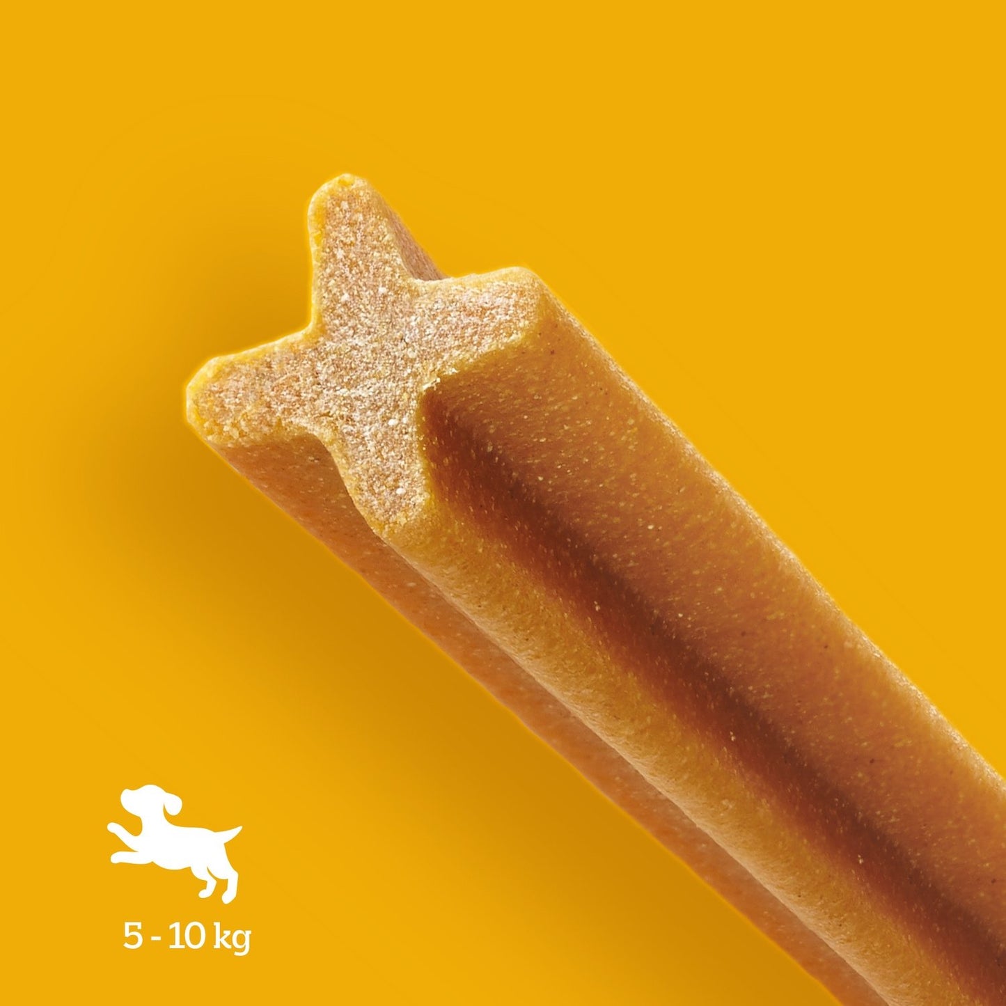 Bâtonnet pour Chien Petit <10kg Hygiène Bucco Dentaire Dentastix PEDIGREE