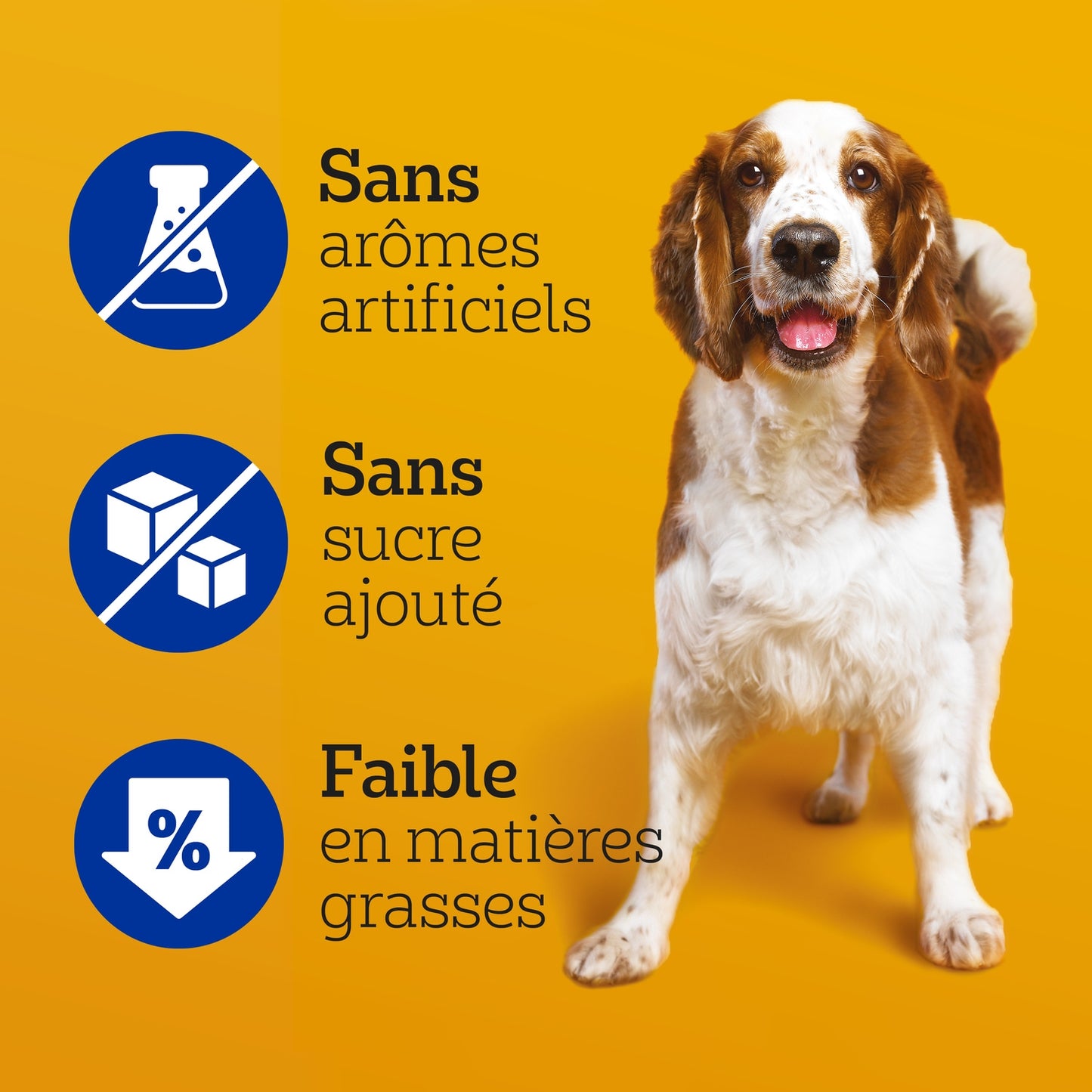 Bâtonnet à Mâcher pour Chien Médium +10kg Hygiène Bucco Dentaire Dentastix PEDIGREE