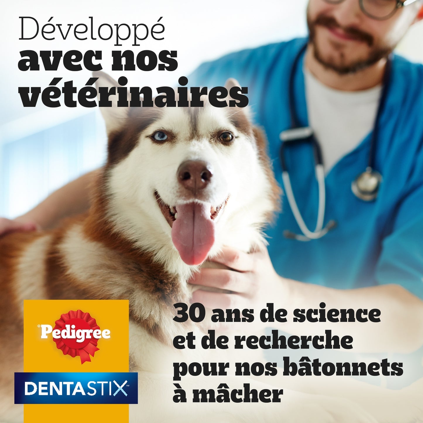 Bâtonnet à Mâcher pour Chien Médium +10kg Hygiène Bucco Dentaire Dentastix PEDIGREE