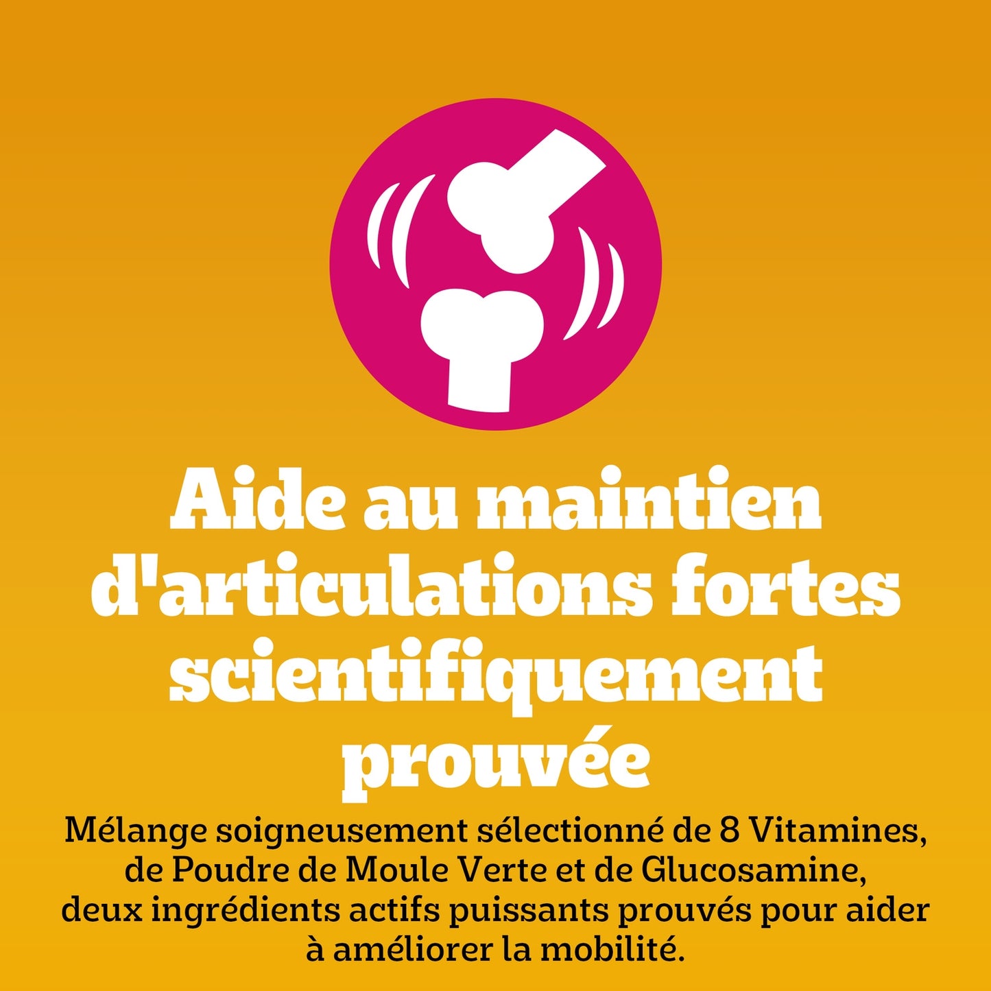 PEDIGREE Joint Support Supplement for Adult Dogs