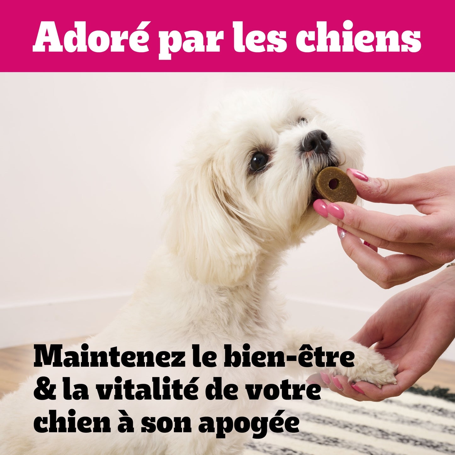 Aliment Complémentaire pour Chien Adulte Entretien des Articulations PEDIGREE