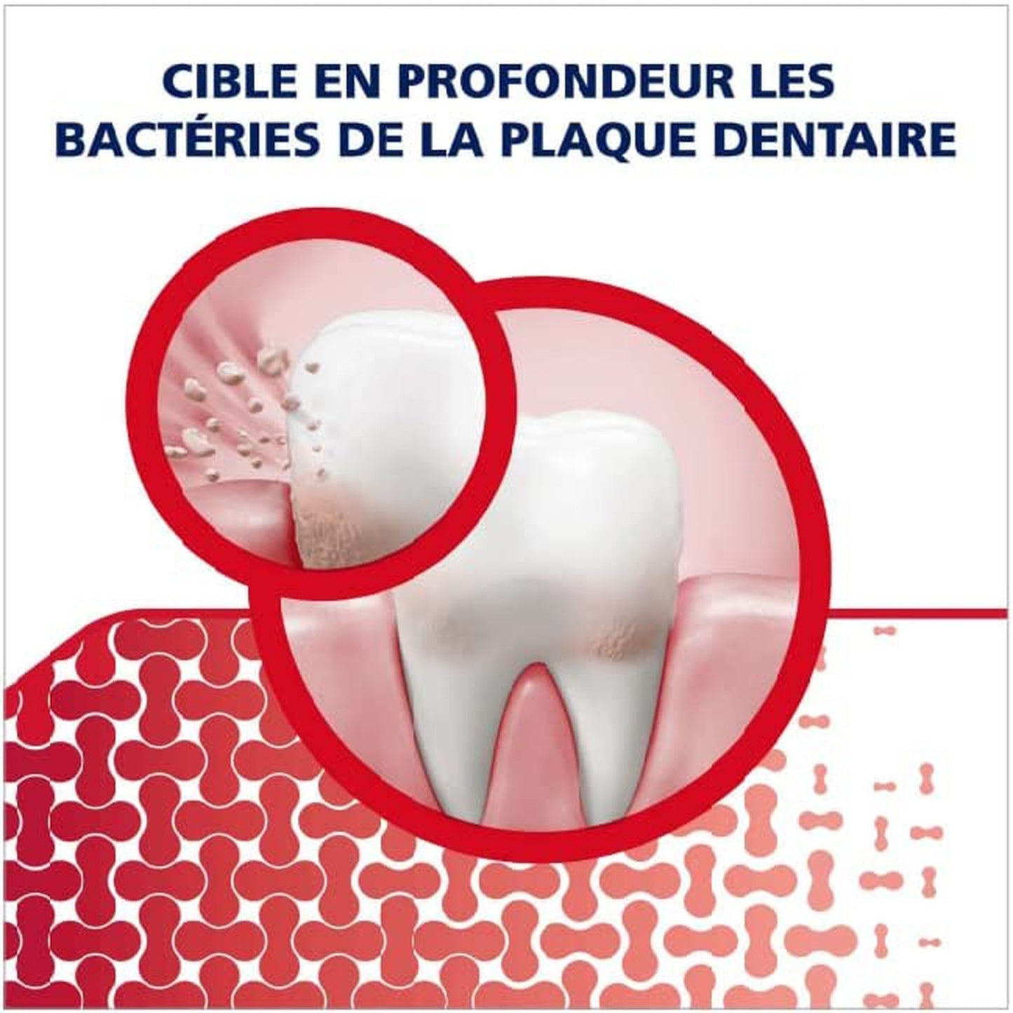 Dentifrice Quotidien au Fluor Gencives + Sensibilité & Haleine Fraîche Blancheur PARODONTAX