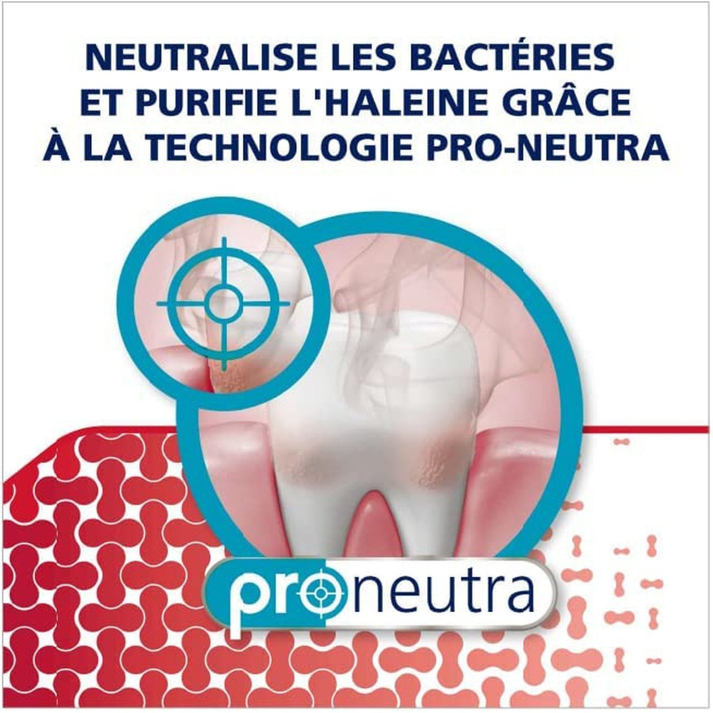 Dentifrice Quotidien au Fluor Gencives + Sensibilité & Haleine Fraîche Original PARODONTAX
