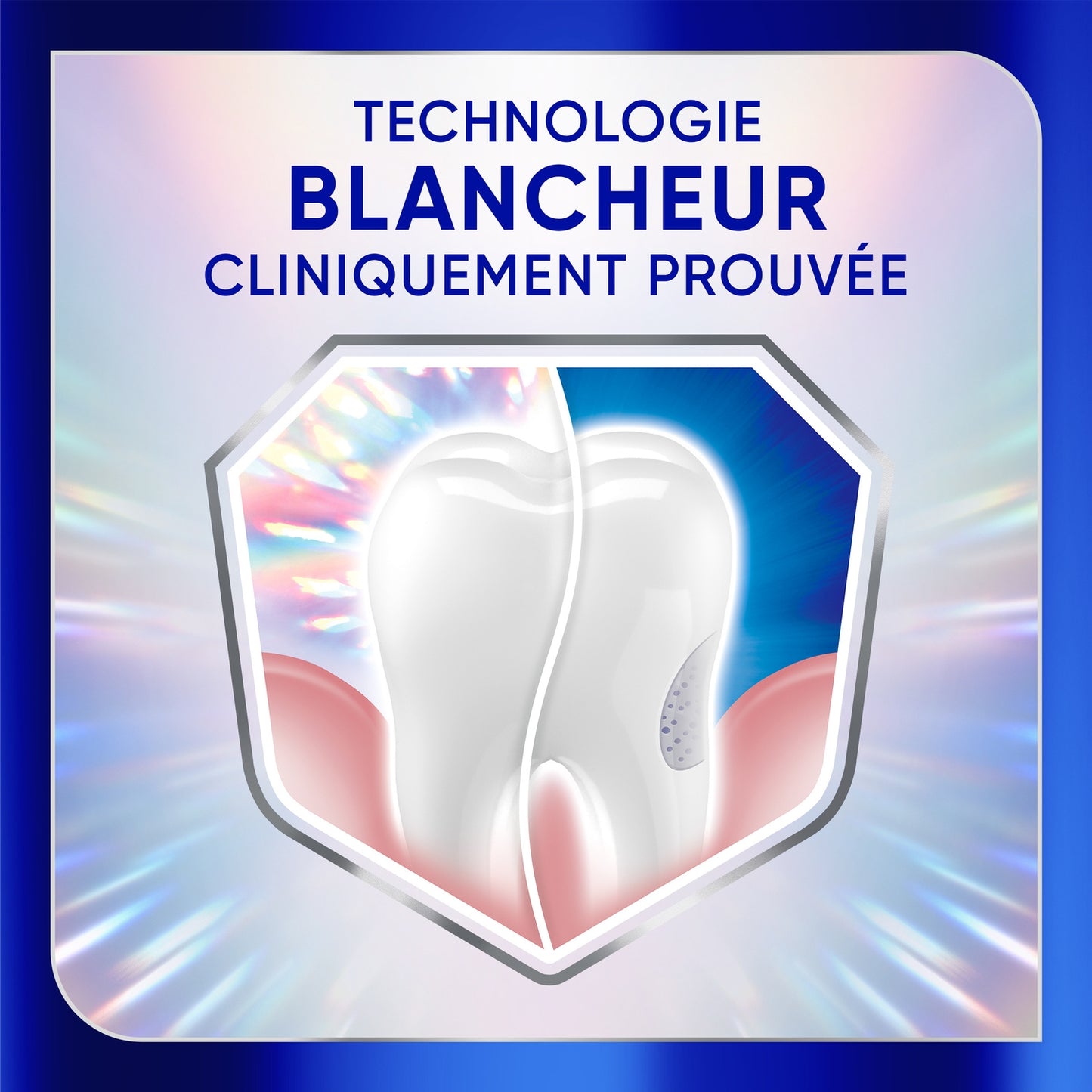 Dentifrice Professional Blancheur SENSODYNE