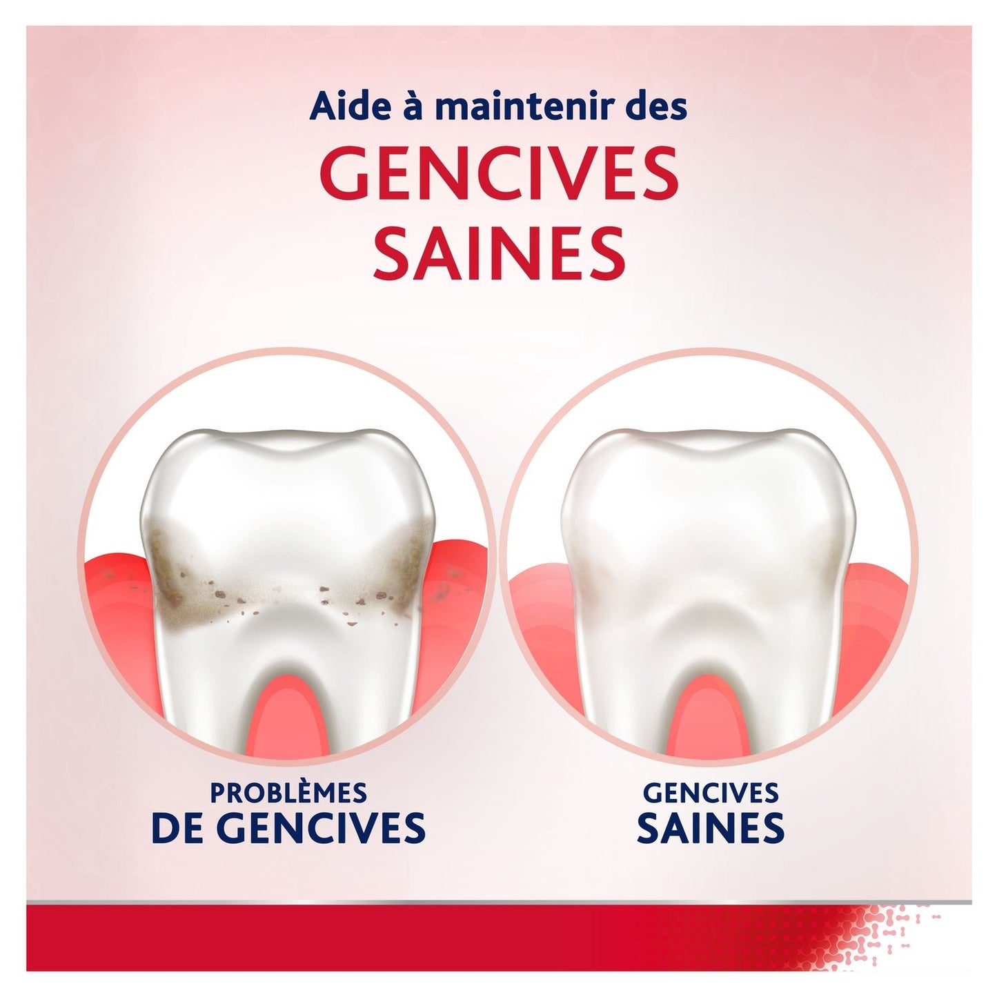 Bain de Bouche Protection Complete Menthe Fraiche PARODONTAX